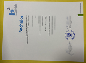 Hochschule Magdeburg-Stendal Urkunde sample
