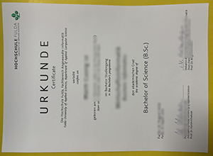 Hochschule Fulda Urkunde sample