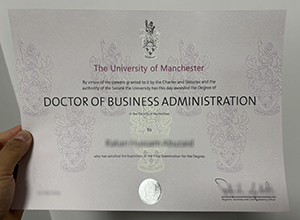 University of Manchester degree sample