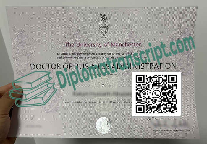 University of Manchester degree
