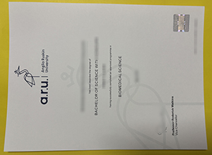 Anglia Ruskin University (ARU) degree sample