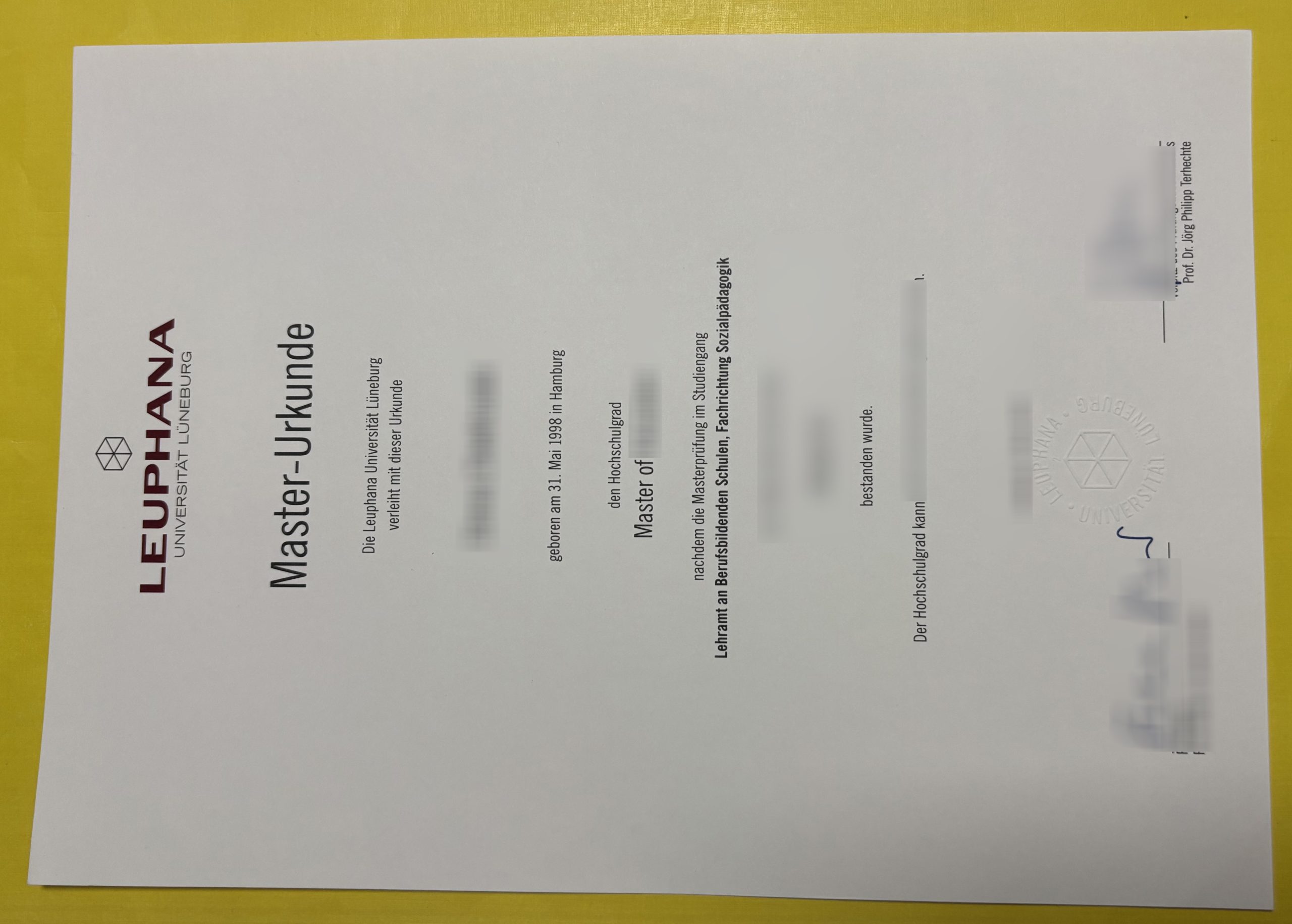 Leuphana Universität Lüneburg Urkunde