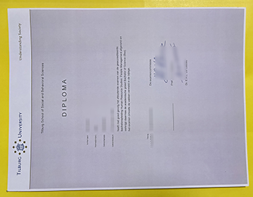 Tilburg University diploma