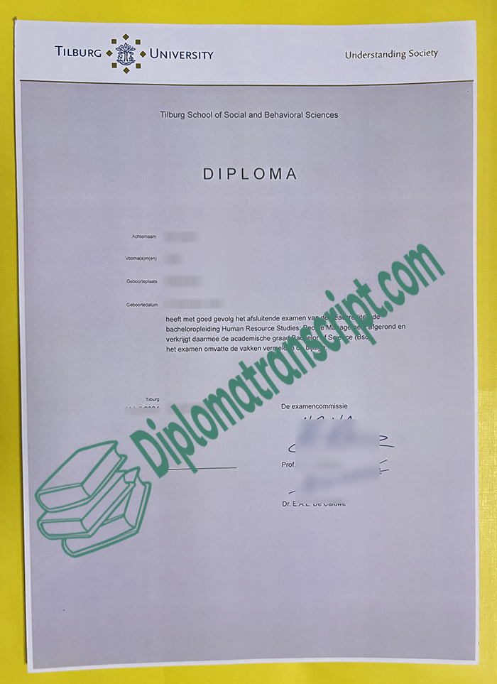 Tilburg University diploma