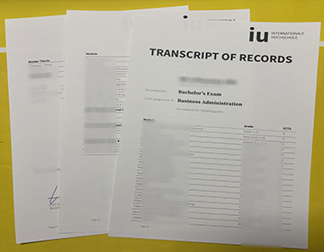 IU Internationale Hochschule transcript of record sample