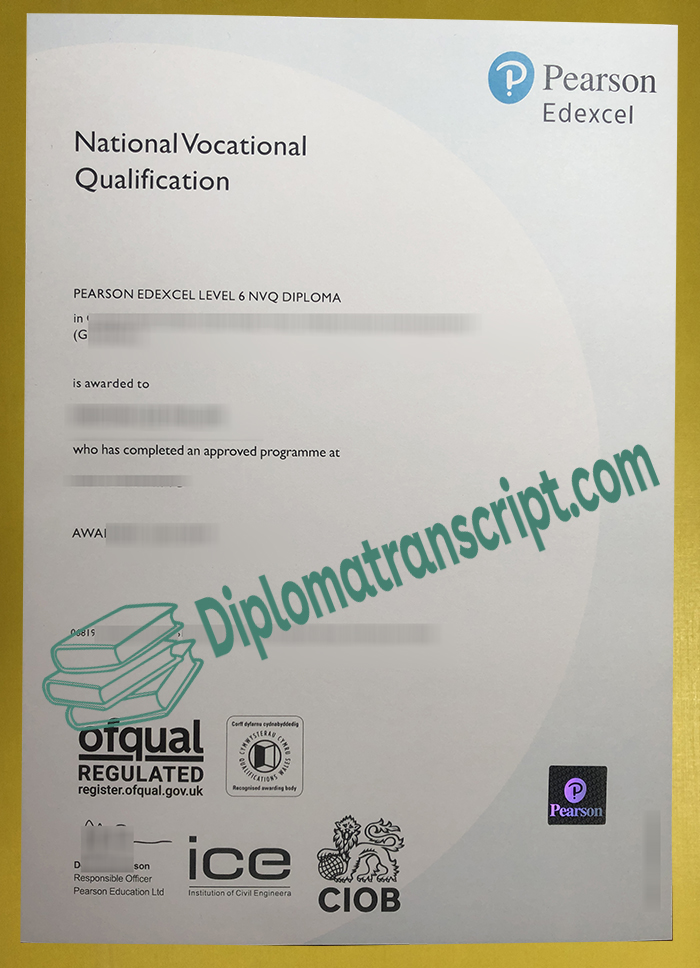 Pearson BTEC Level 6 NVQ diploma Pearson BTEC Level 6 NVQ diploma