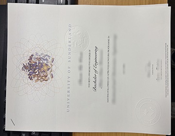 University of Sunderland degree