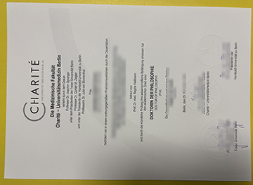 Charité – Berlin University Medicine doctor degree