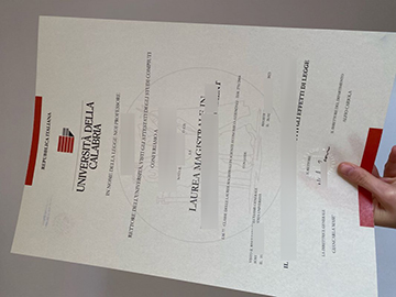 Università della Calabria laurea