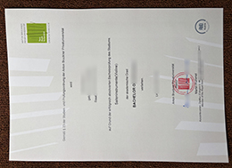 Anton Bruckner Privatuniversität degree sample