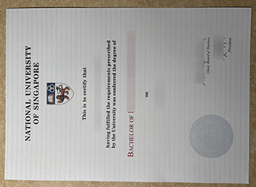 NUS degree