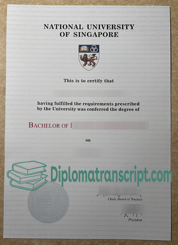 NUS degree