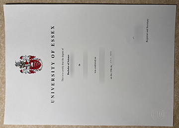 University of Essex diploma sample